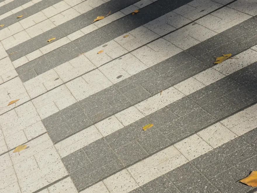 Paving stones on a path with fallen autumn leaves and shadows